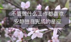 不管做什么工作都喜欢安静独自完成的星座