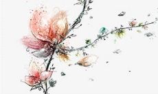 嫁娶周堂图是何意 嫁娶周堂图的用法