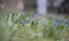 91年11月8日是什么命 农历十月初三出生命运