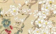 2022年8月5日开张好吗 今日营业怎么样