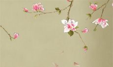 2022年7月生肖属狗最适合店铺开业的黄道吉日 宜开张吉利日