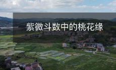 紫微斗数中的桃花缘