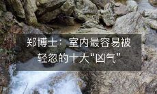 郑博士:室内最容易被轻忽的十大“凶气”