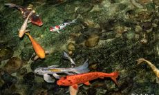 914房号吉利吗 房号不吉利怎么化解