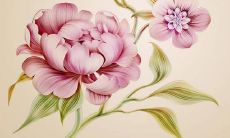 总是有很多奇思妙想的星座