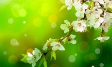 天秤座和什么星座最适合 会被什么星座吸引