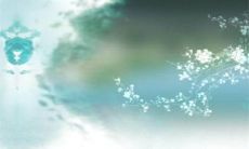 莱阳新媳妇过年拜亲戚吗 新媳妇过年的讲究