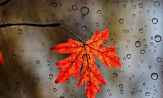 91年11月4日是什么命 农历九月二十八出生命运