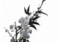 今年初一能回娘家吗 什么时候可以回娘家