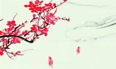 新媳妇拜年为什么拿小褥 新媳妇拜年准备什么东西