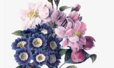 结婚请帖邀请语该怎么写格式是怎么样的