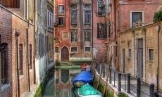 白舒安姓名评分95分