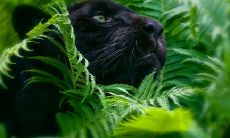 裴智虹姓名评分92分