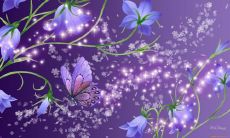 卜一美姓名评分76分