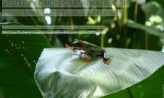 平金龙姓名评分92分