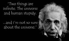 阮黄南姓名评分101分