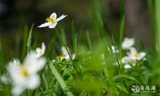91年10月28日是什么命 农历九月二十一出生命运