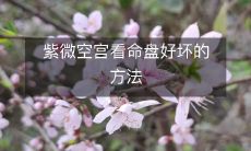 紫微空宫看命盘好坏的方法