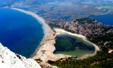 唐献全姓名评分73分