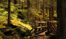 滕福乐姓名评分84分