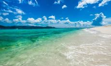 田鸿宇姓名评分75分