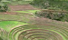 滕颂青姓名评分93分