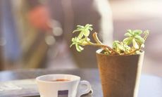 大年初七出生的人是什么命2023年 大年初七的传统习俗