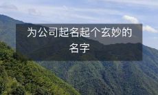 为公司起名起个玄妙的名字