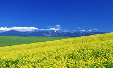 正月初九出生的宝宝好吗2023年 在青春期生活艰难