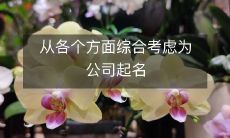 从各个方面综合考虑为公司起名
