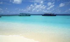 滕婪珍姓名评分100分