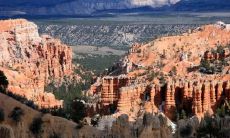 彭殷曼姓名评分93分