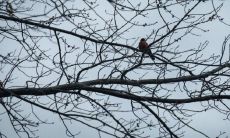 2023年出生的是什么八字 天运五行属金