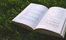 正月初七生的孩子属什么2023年 属兔宝宝起名推荐