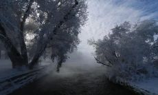 柏华秀姓名评分103分