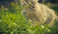 危彩虹姓名评分72分