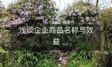 浅谈企业商品名称与效益