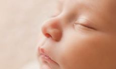 什么样的鼻子是好命的 面相鼻子怎么看