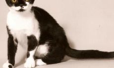 吴惠亭姓名评分75分