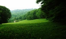 2023最顺的几个生肖 生肖牛癸卯年吉星高照