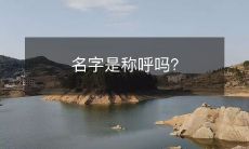 名字是称呼吗？