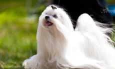 闵璐璐姓名评分67分