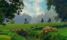 墓地风水对子孙后代有哪些方面的影响