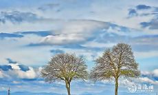 91年4月1日是什么命 农历二月十七出生命运