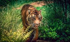 毛誉霖姓名评分104分