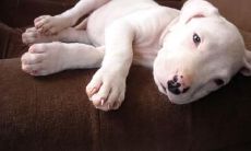 平林赖姓名评分92分