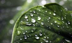 皮文宇姓名评分76分