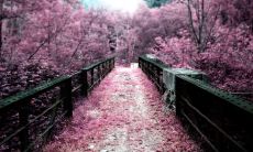 戚校达姓名评分94分