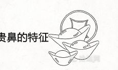 鼻子看相五种富贵鼻的特征