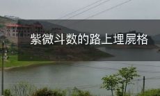 紫微斗数的路上埋屍格